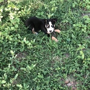 Meet your Posher, Derek